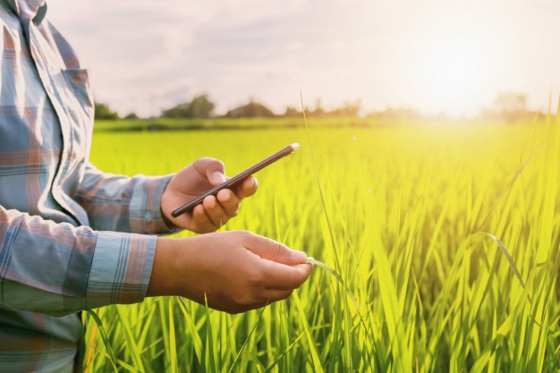 farmer-using-mobile-checking-report