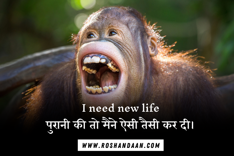 funny one line status in hindi