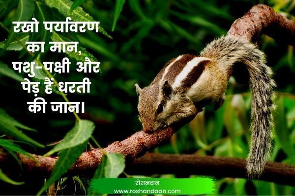 top-33-slogans-on-environment-in-hindi