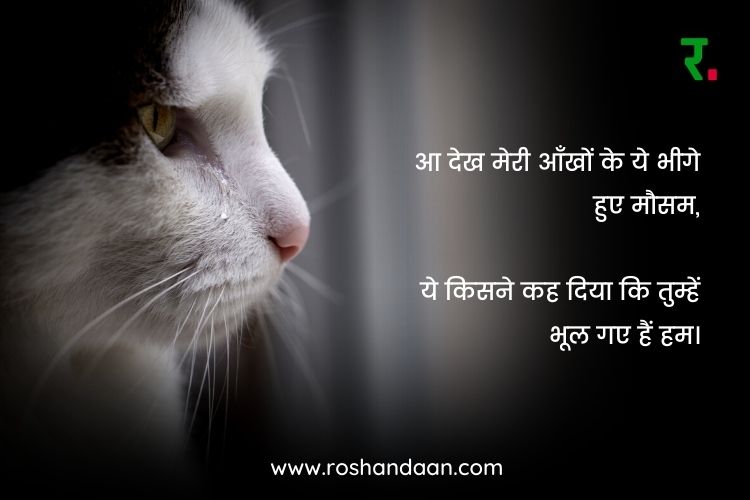 Miss You Quotes In Hindi 100 य द श यर Yaad Quotes In Hindi