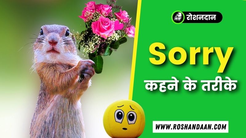 sorry-wale-status-for-girlfriend-in-hindi-hindi7facts