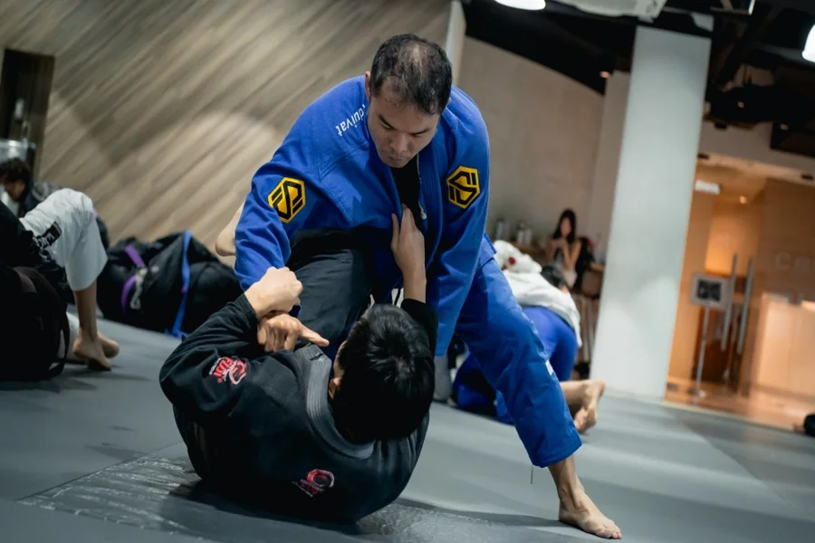 Martial Art Program
